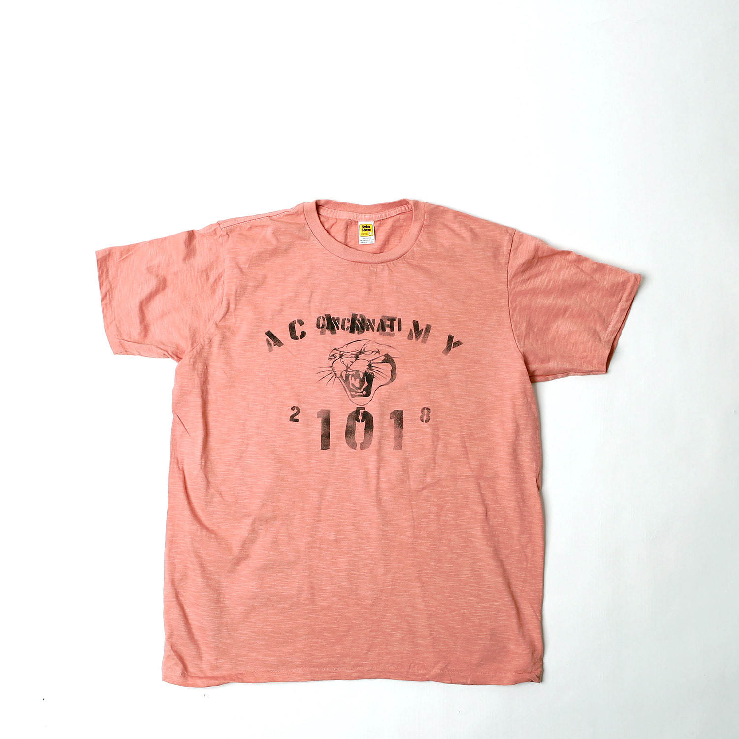Loopwheel ACADEMY Short Sleeve T-Shirts (Peach)